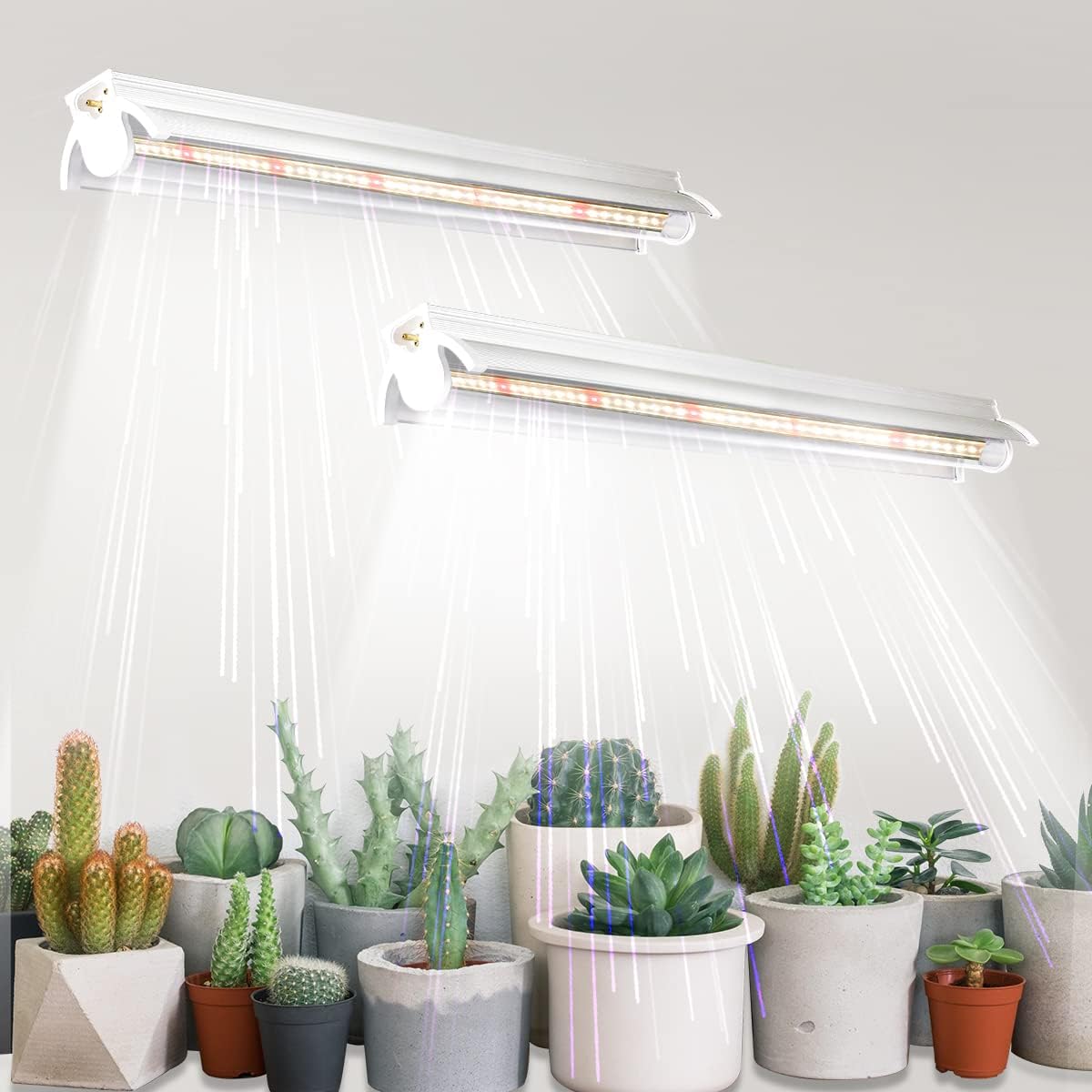 GYTF T5 Grow Lights 2 Pack, 1.4Ft 5000K White Full Spectrum LED Plant Growing Lamp Strips for Indoor Plants, Seeds Starting, Succulents, High PPFD with V-Shaped Reflector