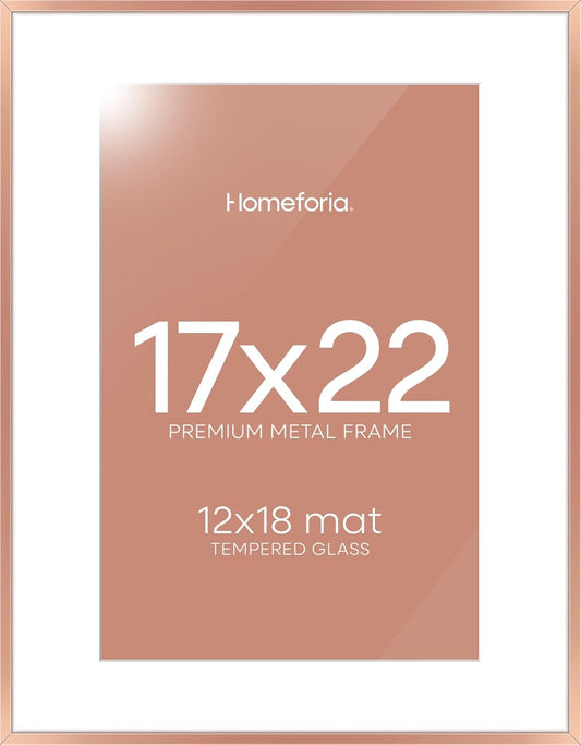 Homeforia 17x22 Picture Frame Silver, High End Metal 17x22 Frames with Mat 12x18 for Photo, 17 x 22 Silver Poster Frame Matted to 12 x 18 Print, 22x17 Hanging Frame, Tempered Glass, Wall Kit, Set of 1