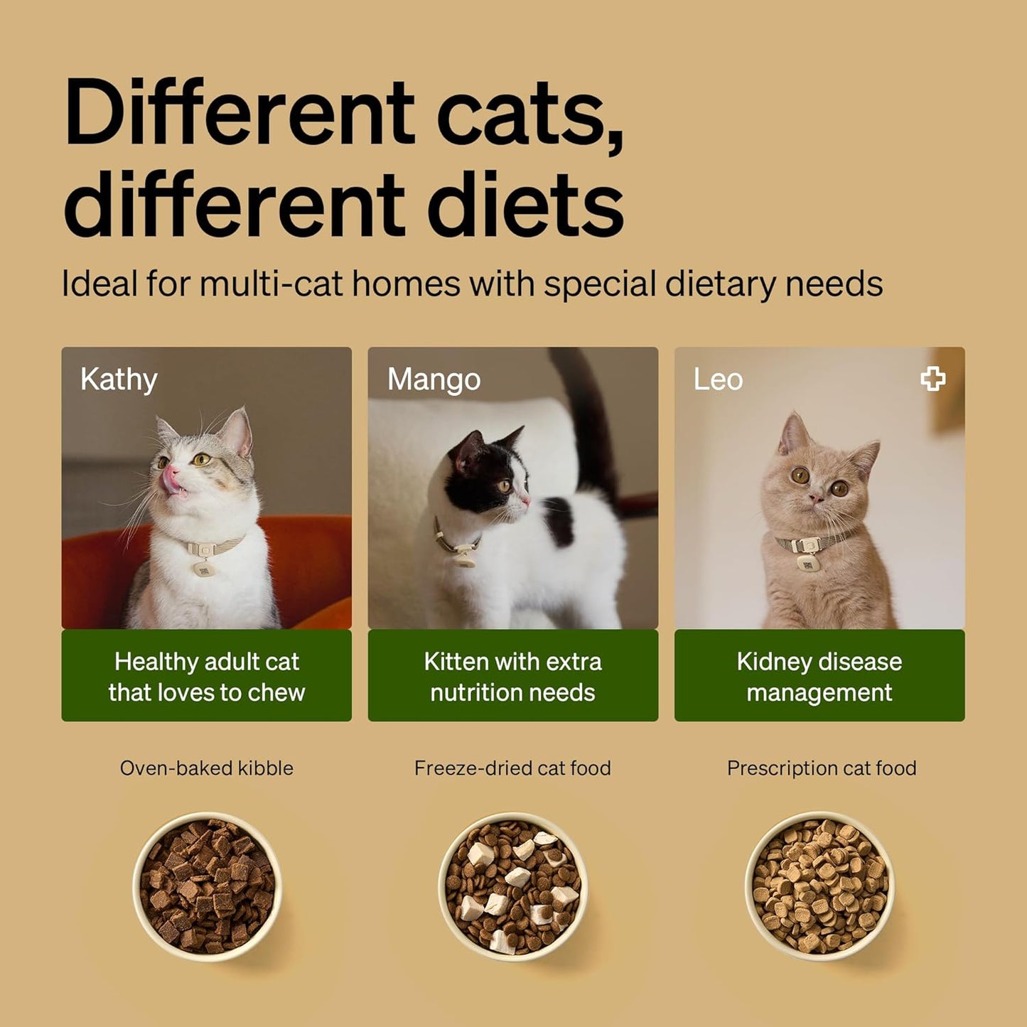 2 Packs PETLIBRO RFID Automatic Cat Feeder with 12 Packs Pet Food Desiccant Bag, Collar Sensor for Personalized Meals, Wi-Fi Programmable Food Dispenser with Cats Recognition & Diet Tracking