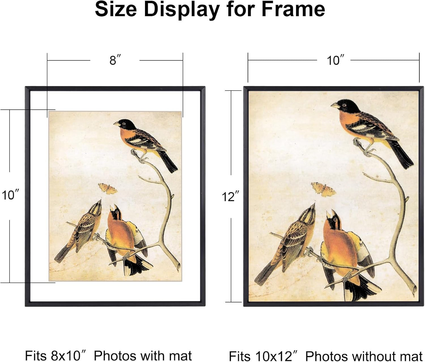 10x12 Picture Frame, Black Aluminum Metal Photo Frames with HD Glass, Fits 8x10 with Mat or 10 x 12 without Mat, Display for Wall, 1 Pack