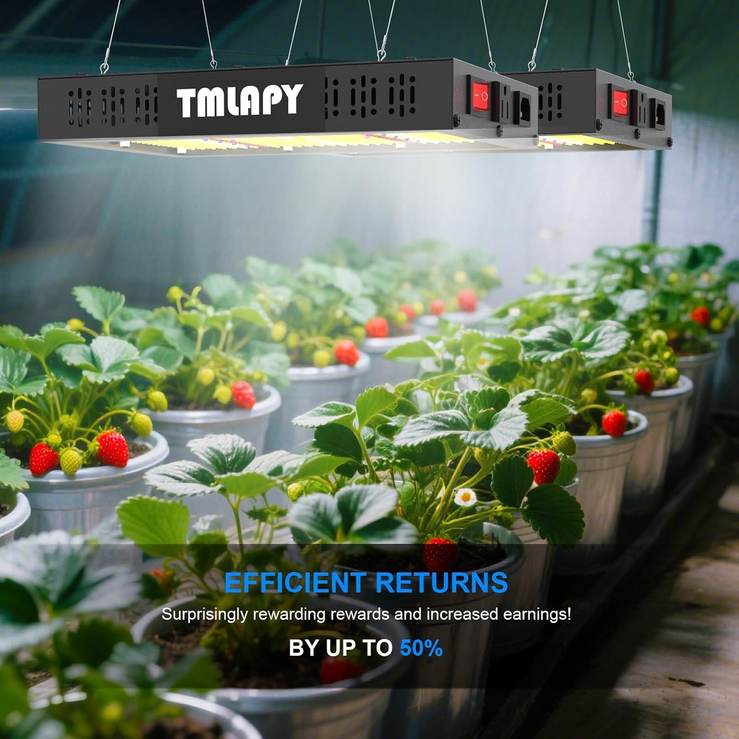 600W LED Grow Light, Plant Lights for Indoor Growing, Full Spectrum Grow Lights for Indoor Plants with Daisy Chain for 2x2 Grow Gent