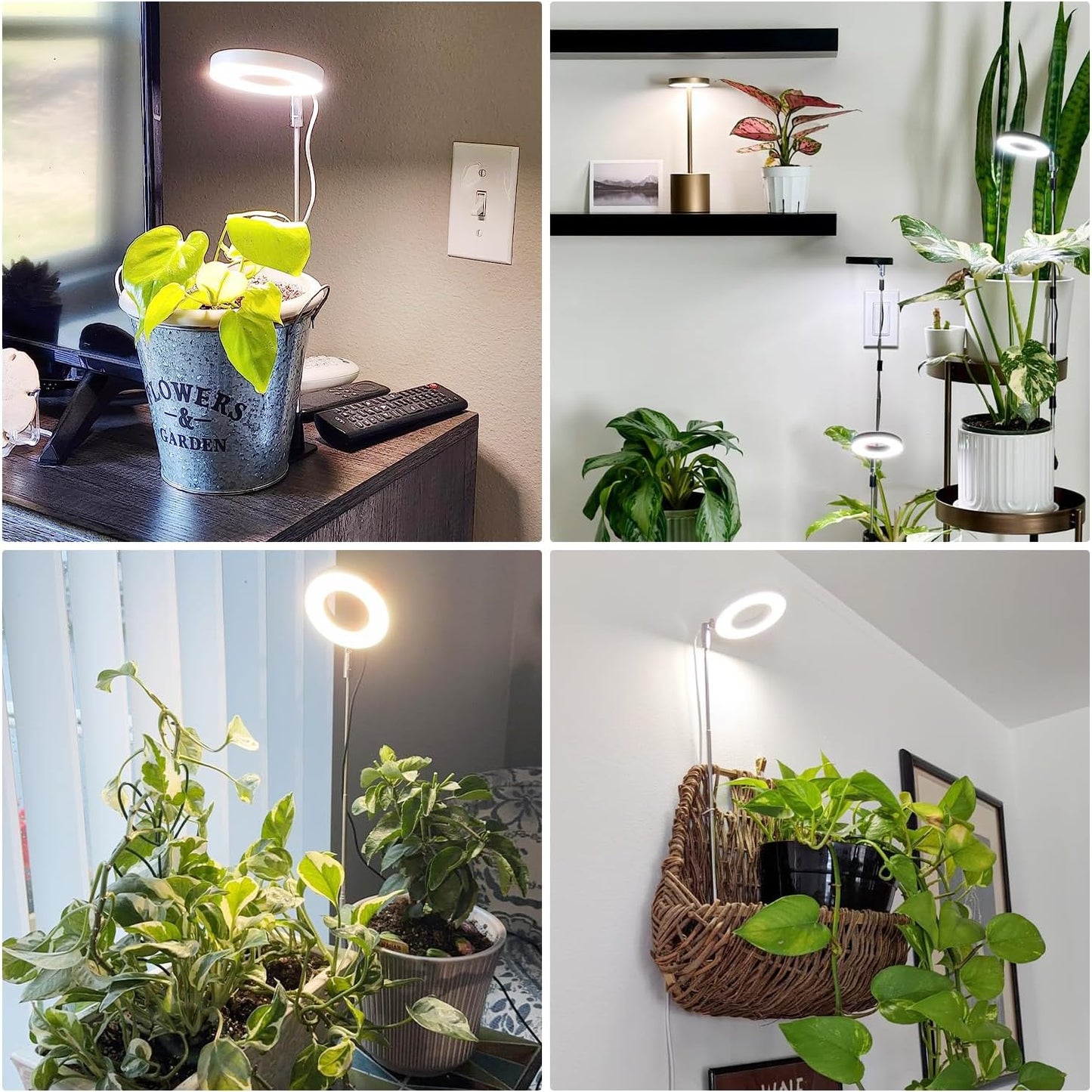Grow Lights for Indoor Plants,Full Spectrum Plant Lights for Indoor Growing with 3/9/12H Timer, 3 Color Modes, 10 Brightness, 6.5"-26" Height Adjustable Small Grow Light, 2 Pack(3.4in)