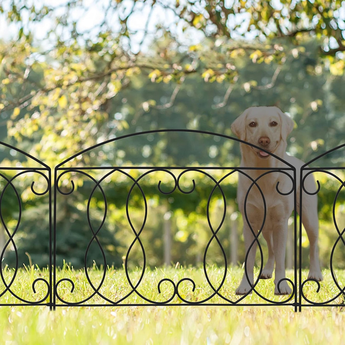 Decorative Fence 24in x 12ft 6 Piece Metal Garden Fence Extra Thick Wire Outdoor Patio Rustproof Fencing Animal Barrier